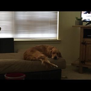 Meet your Posher, Brad